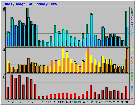 Daily usage for January 2025