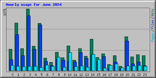 Hourly usage for June 2024