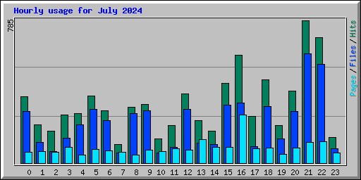 Hourly usage for July 2024