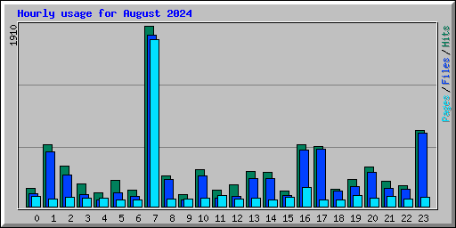 Hourly usage for August 2024