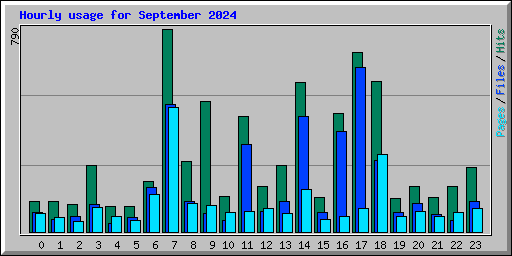 Hourly usage for September 2024