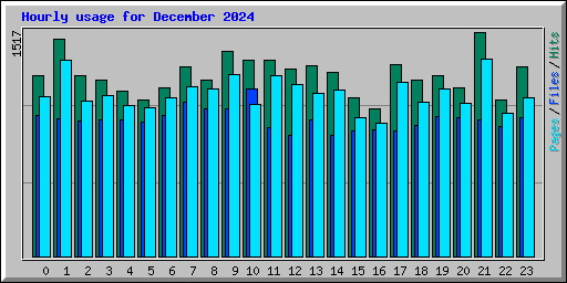 Hourly usage for December 2024