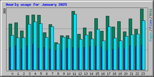 Hourly usage for January 2025