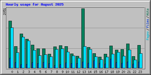 Hourly usage for August 2025