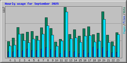 Hourly usage for September 2025
