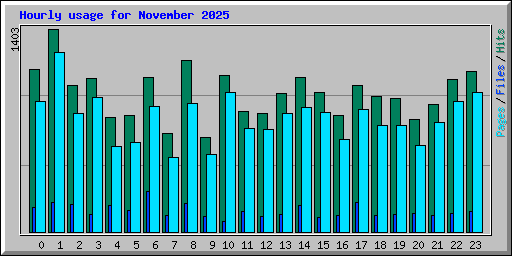 Hourly usage for November 2025