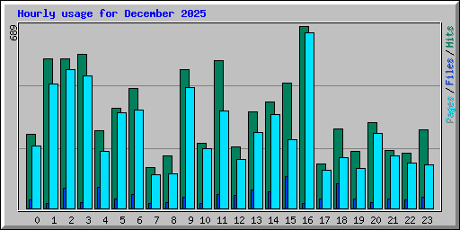 Hourly usage for December 2025