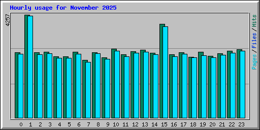 Hourly usage for November 2025