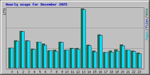 Hourly usage for December 2025